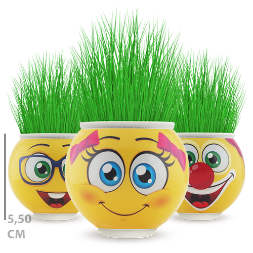 KUTULU YUVARLAK ÇİMOJİ ÇİMADAM 24LÜ