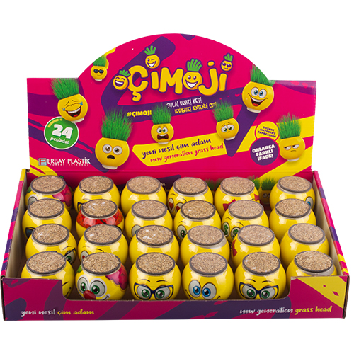 KUTULU YUVARLAK ÇİMOJİ ÇİMADAM 24LÜ
