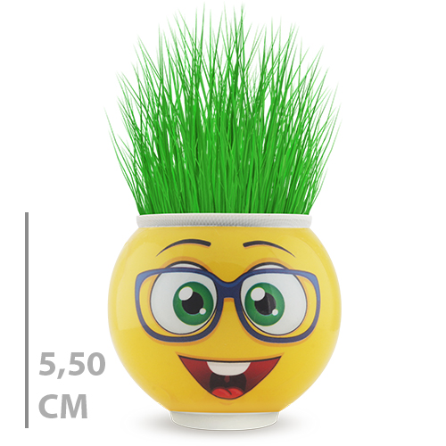 KUTULU YUVARLAK ÇİMOJİ ÇİMADAM 24LÜ