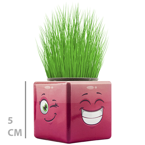 MİNİ KÜP ÇİMOJİ ÇİMADAM 32Lİ