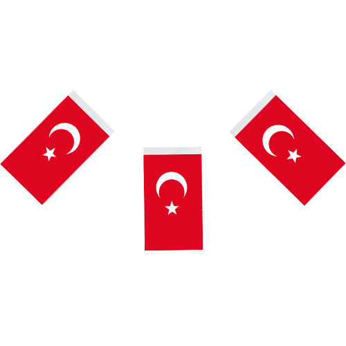 BÜYÜK İPLİ AY YILDIZ BAYRAK VT-809