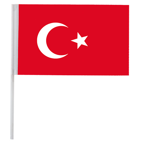 KÜÇÜK ÇITALI AYYILDIZ BAYRAK 80Lİ 12CM*20CM VT-801