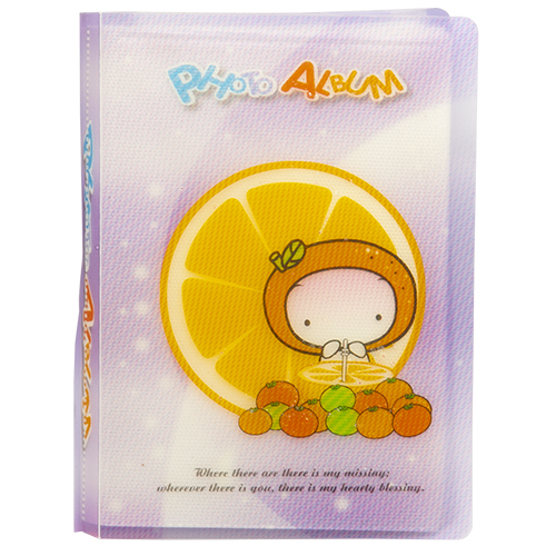 FOTOĞRAF ALBÜMÜ 36'LI#